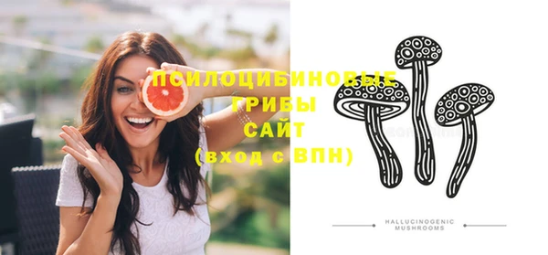 ПСИЛОЦИБИНОВЫЕ ГРИБЫ Богданович