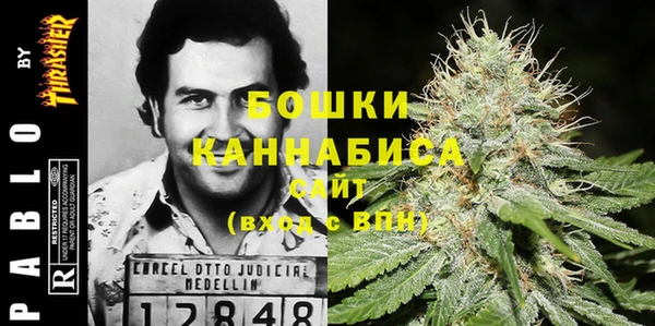 ПСИЛОЦИБИНОВЫЕ ГРИБЫ Богданович