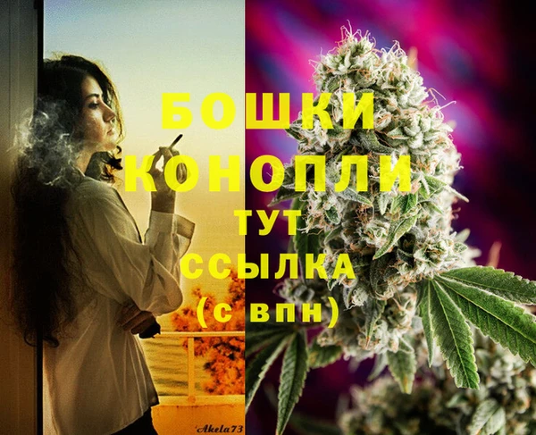 ПСИЛОЦИБИНОВЫЕ ГРИБЫ Богданович