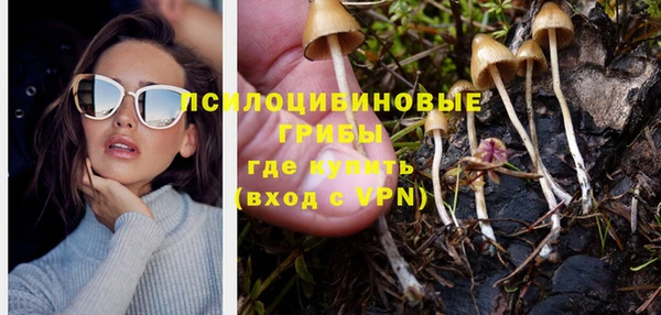 MDMA Premium VHQ Богородск