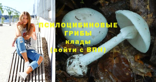 COCAINE Богородицк