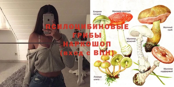 ПСИЛОЦИБИНОВЫЕ ГРИБЫ Богданович