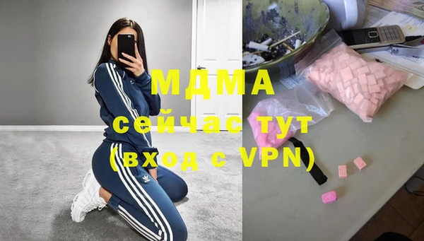 ПСИЛОЦИБИНОВЫЕ ГРИБЫ Богданович