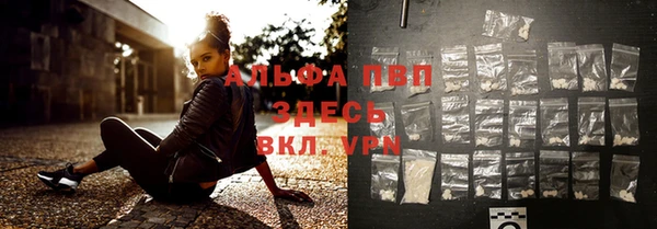 ПСИЛОЦИБИНОВЫЕ ГРИБЫ Богданович