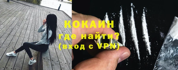 ПСИЛОЦИБИНОВЫЕ ГРИБЫ Богданович