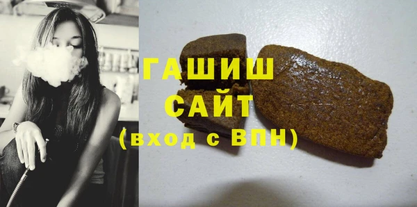 гашик Каменка